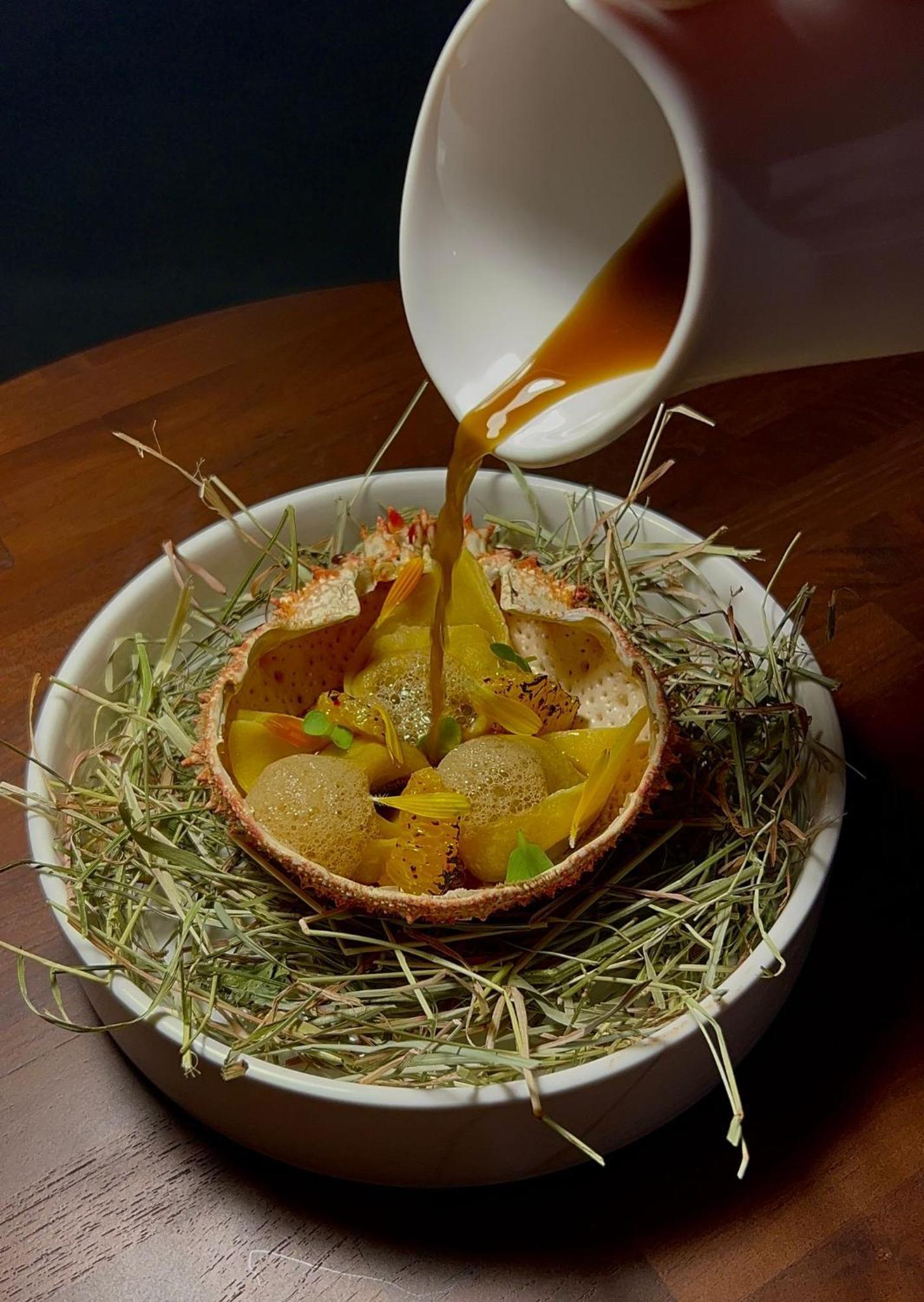 Hotel Maison Pavlov - Restaurant & Spa - Bordeaux Bouscat Le Bouscat Buitenkant foto